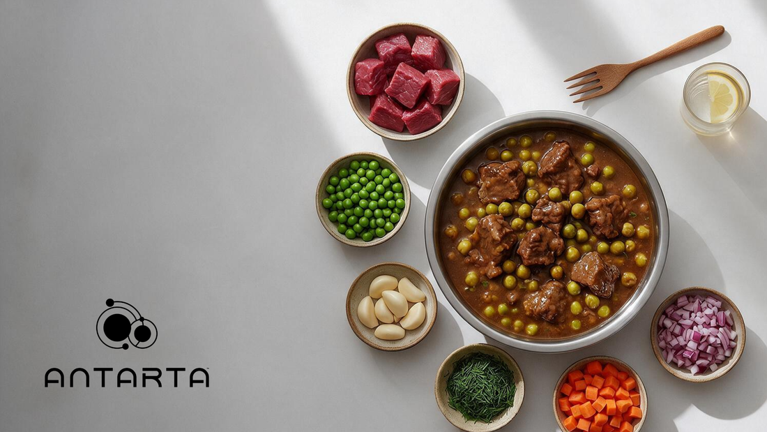 Protein from Food or Protein Powder: Which Is the Better Choice?