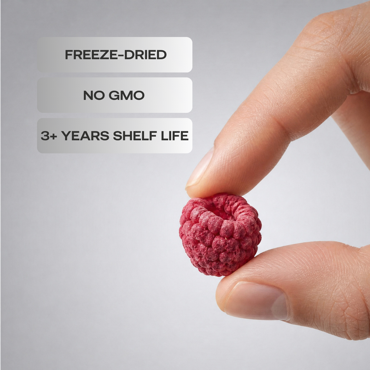 Freeze-dried Natural Raspberries