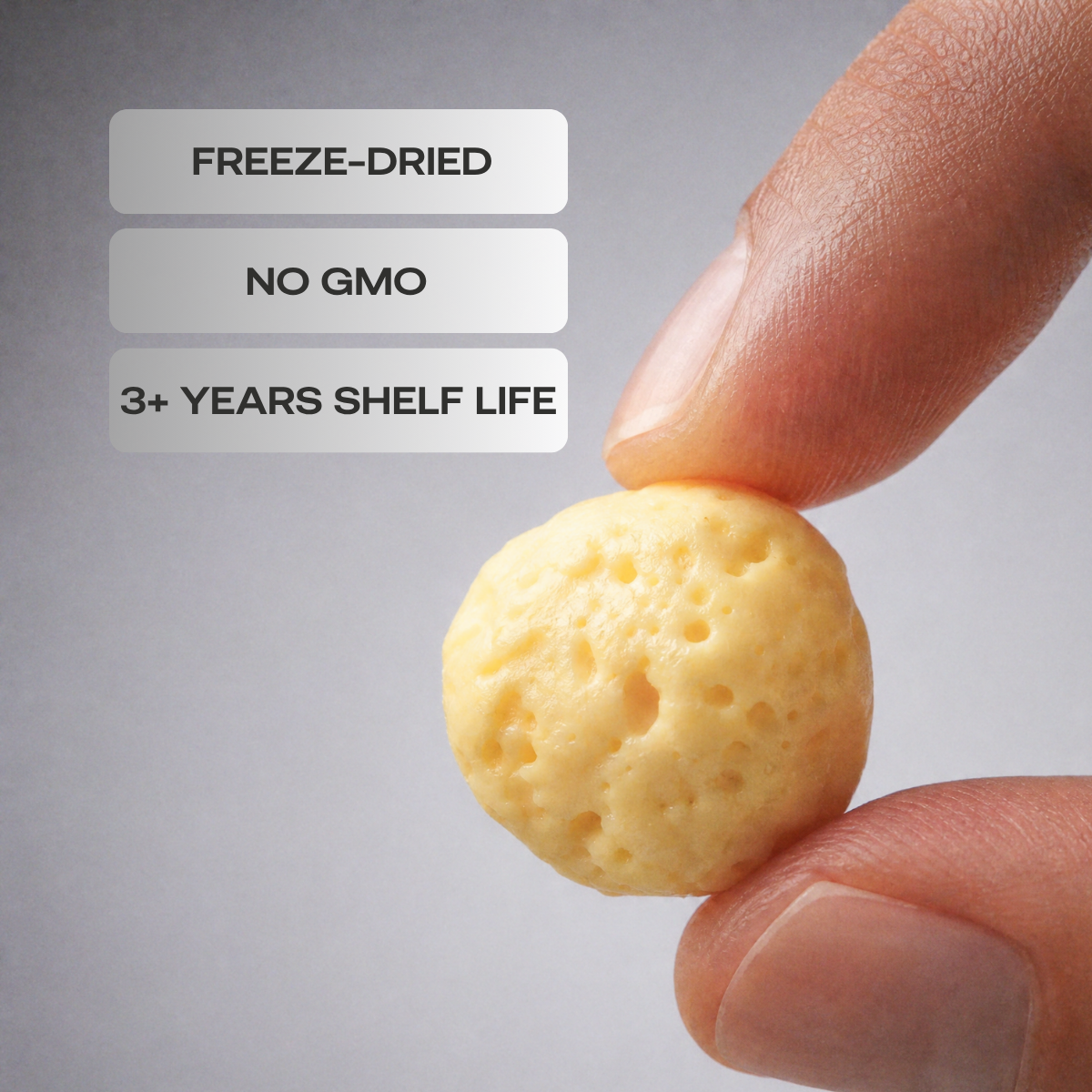 Freeze-dried Crunchy Cheese Gouda