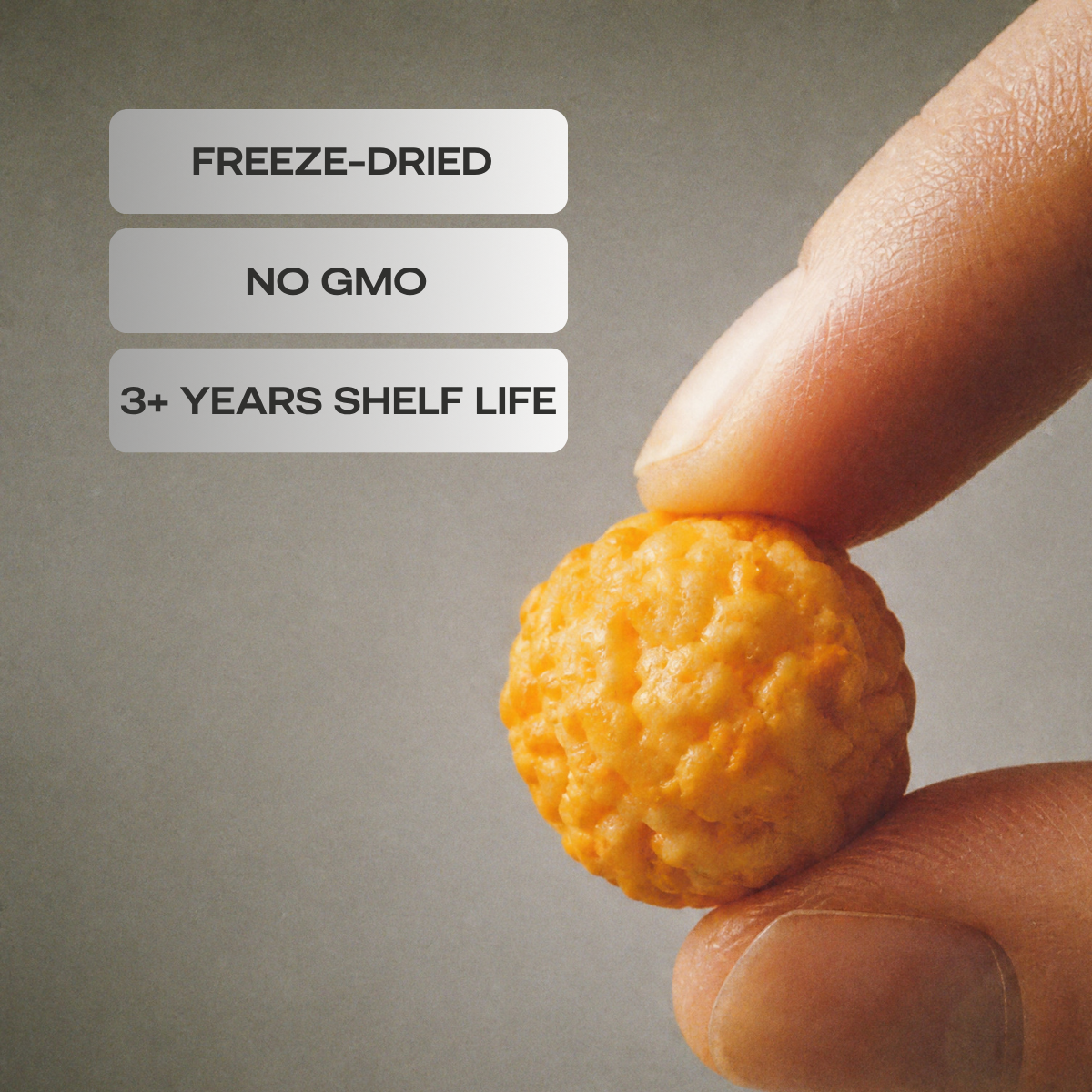Freeze-dried Crunchy Cheese Cheddar