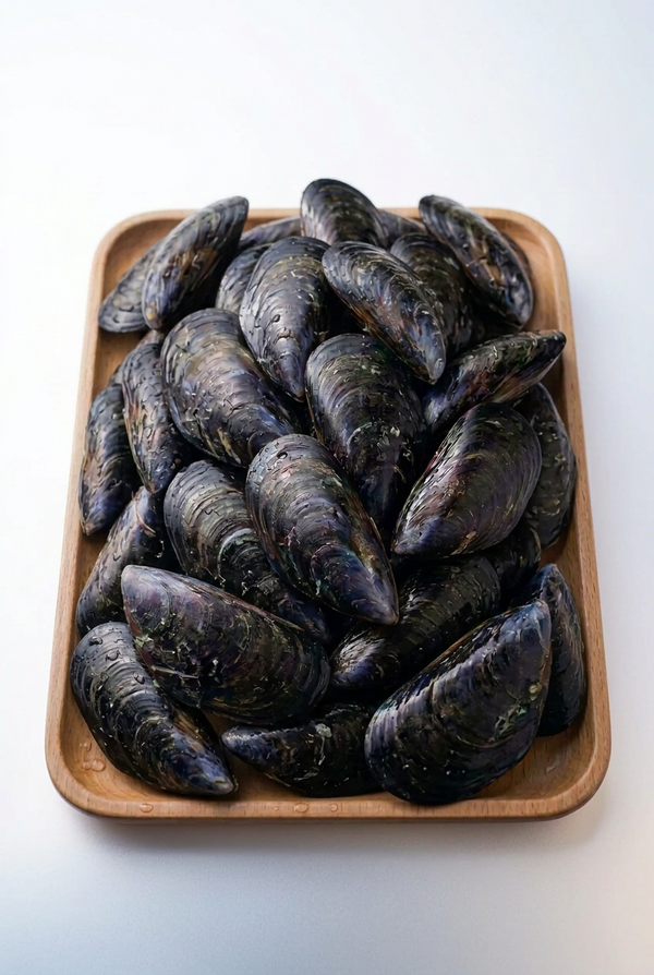 Mussels